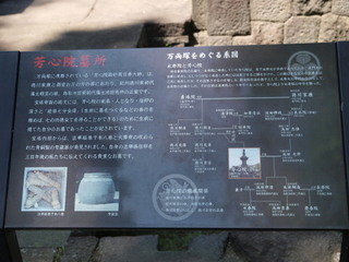 P6098845.jpg