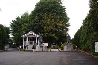 P6225848.jpg