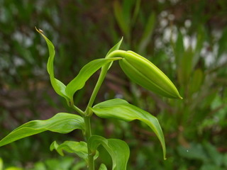 P6268519.jpg