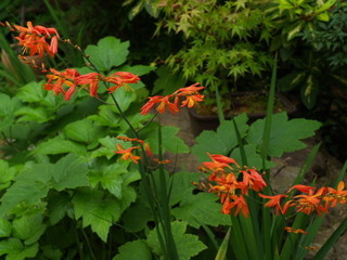 P6268541.jpg