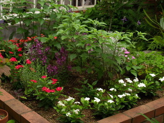 P6268553.jpg
