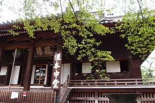 P6306045.jpg