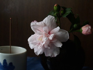 P7050078.jpg