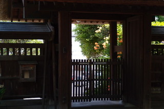 P7066150.jpg