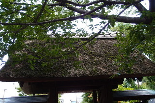 P7066151.jpg