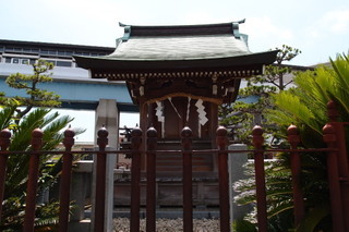 P7066158.jpg
