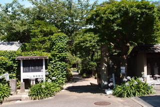P7066180.jpg