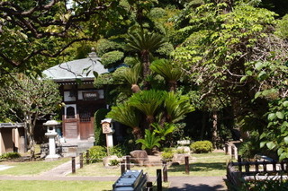 P7066187.jpg