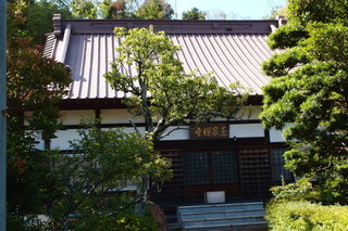 P7066204.jpg