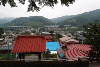 P7086226.jpg