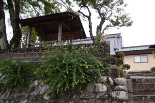 P7086229.jpg