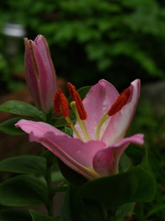 P7088598.jpg