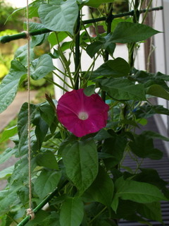 P7110158.jpg