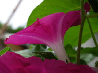 P7120169.jpg
