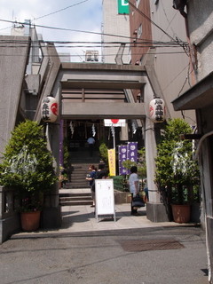 P7129935.jpg