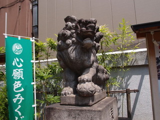 P7129936.jpg
