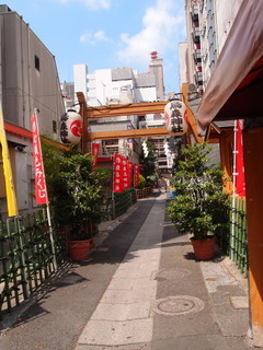 P7129944.jpg