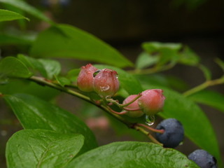 P7141849.jpg
