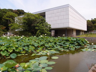 P7249974.jpg