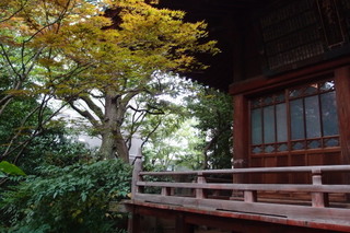 P7276288.jpg