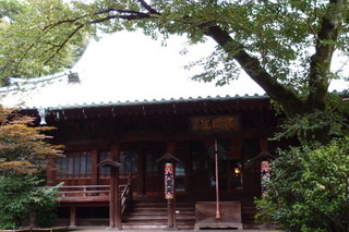 P7276292.jpg