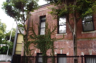 P7276296.jpg
