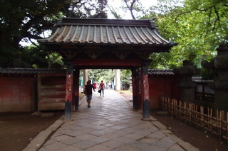 P7276334.jpg
