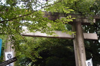 P7276337.jpg