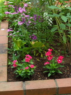 P8168643.jpg