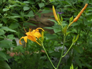P8237748.jpg