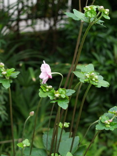 P8289039.jpg