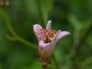 P8289041.jpg