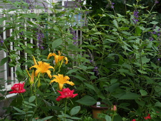 P8317751.jpg