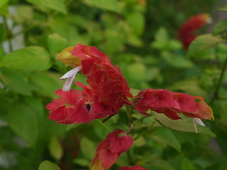P8317774.jpg
