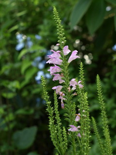 P9033721.jpg