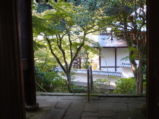 P9090005.jpg