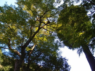 P9090008.jpg