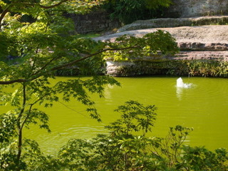 P9090017.jpg