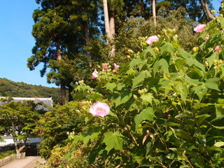 P9090020.jpg