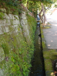 P9090022.jpg