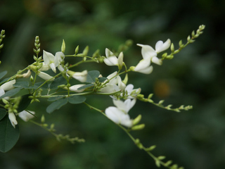P9151936.JPG