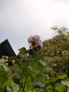 P9259372.jpg