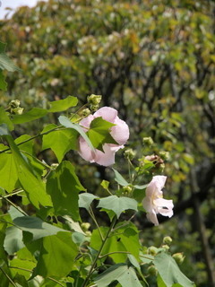 P9259373.jpg