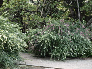 P9259377.jpg
