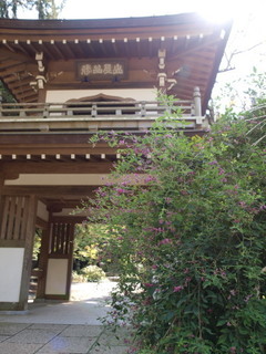 P9259427.jpg