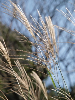 P9259429.jpg