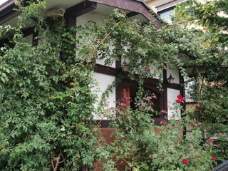 PA119467.jpg