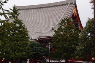 PA136549.jpg