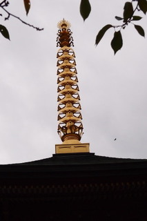 PA136563.jpg