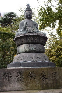 PA136569.jpg